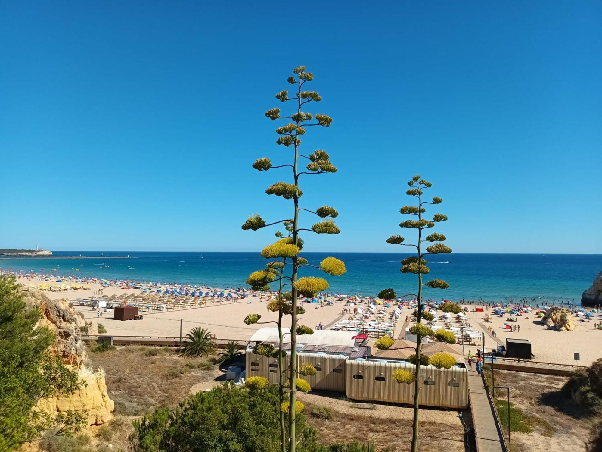 Luxury 2 Min Beach With Balcony, Ocean View, Wifi, Ac, Smarttv Portimão Eksteriør billede